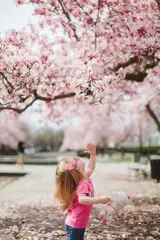 Kind unter Blumenbaum 