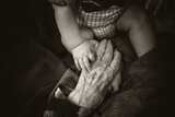 Hand eines kleinen Babys auf der Hand eines alten Menschen 